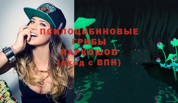 спайс Абаза