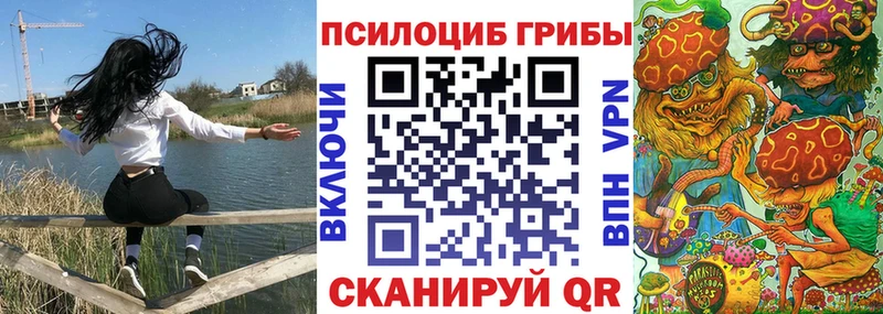 Галлюциногенные грибы Psilocybine cubensis  закладка  Вичуга 